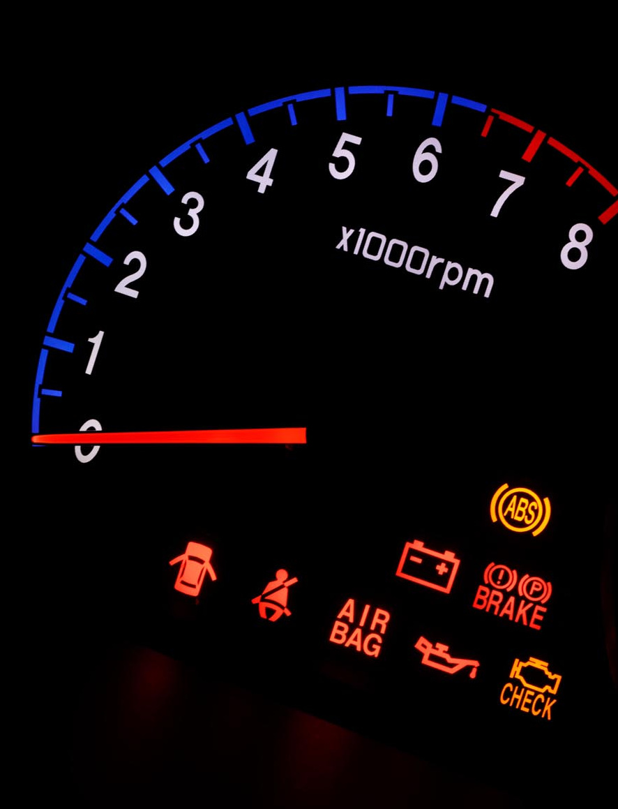 1000000181.jpg