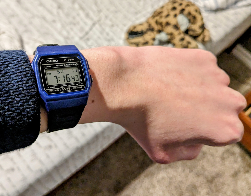 1000001305.jpg
