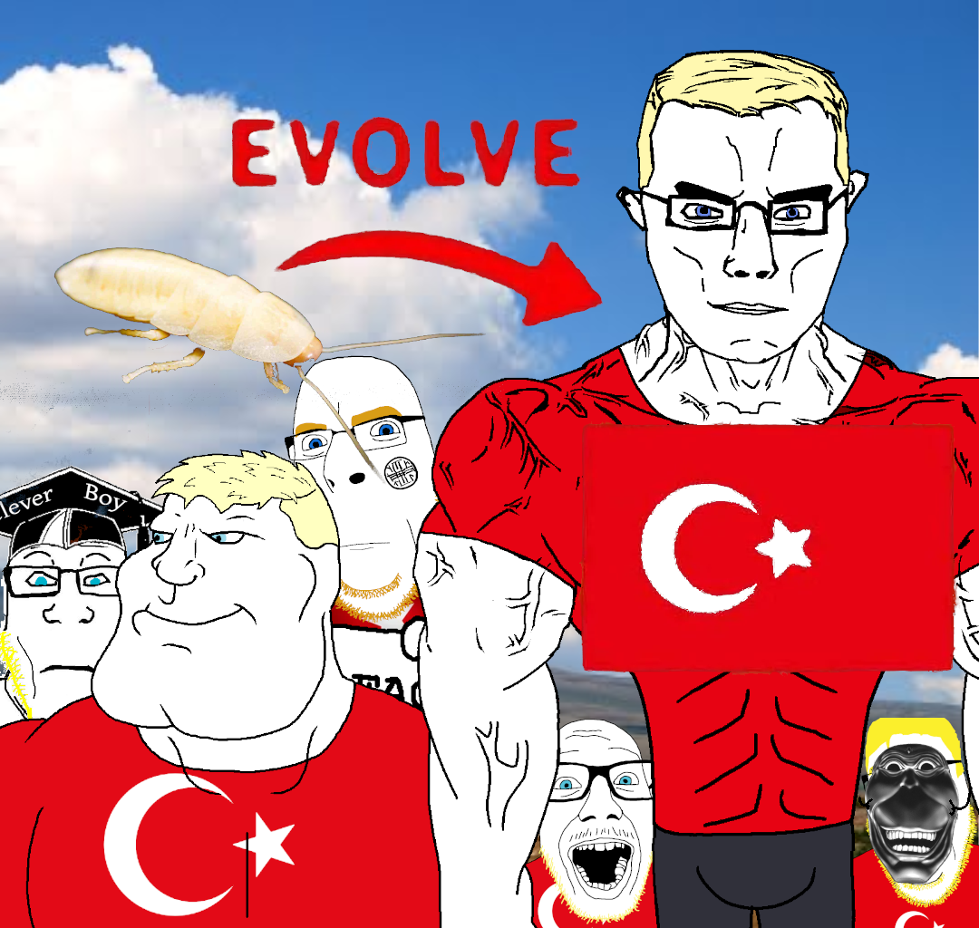 1000001308.png