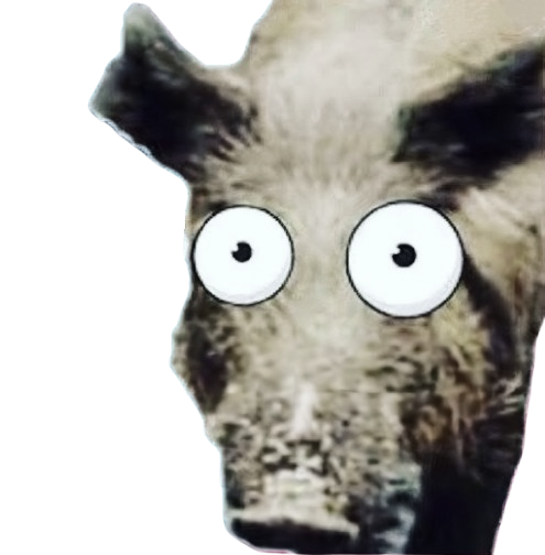 1000001994.png