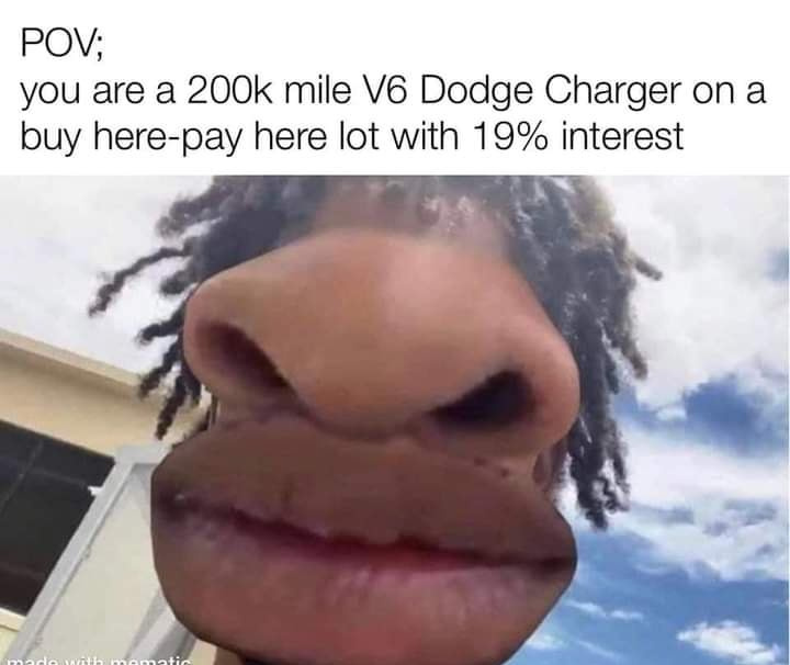 1000003392.jpg