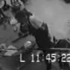 1000003551.gif