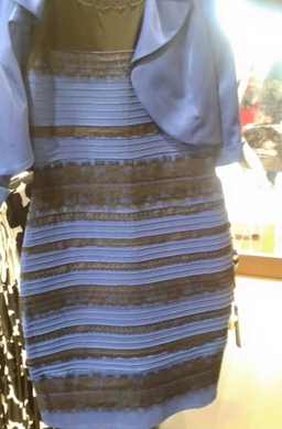 1000004330.jpg
