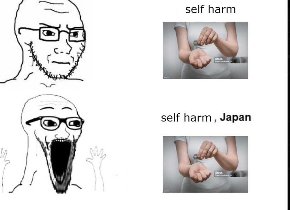 1000004557.png