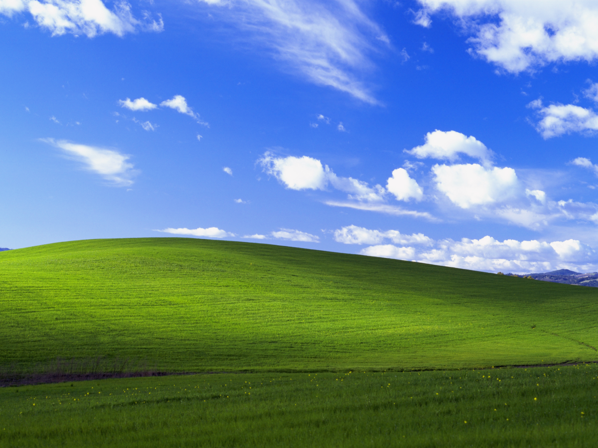1000006151.png