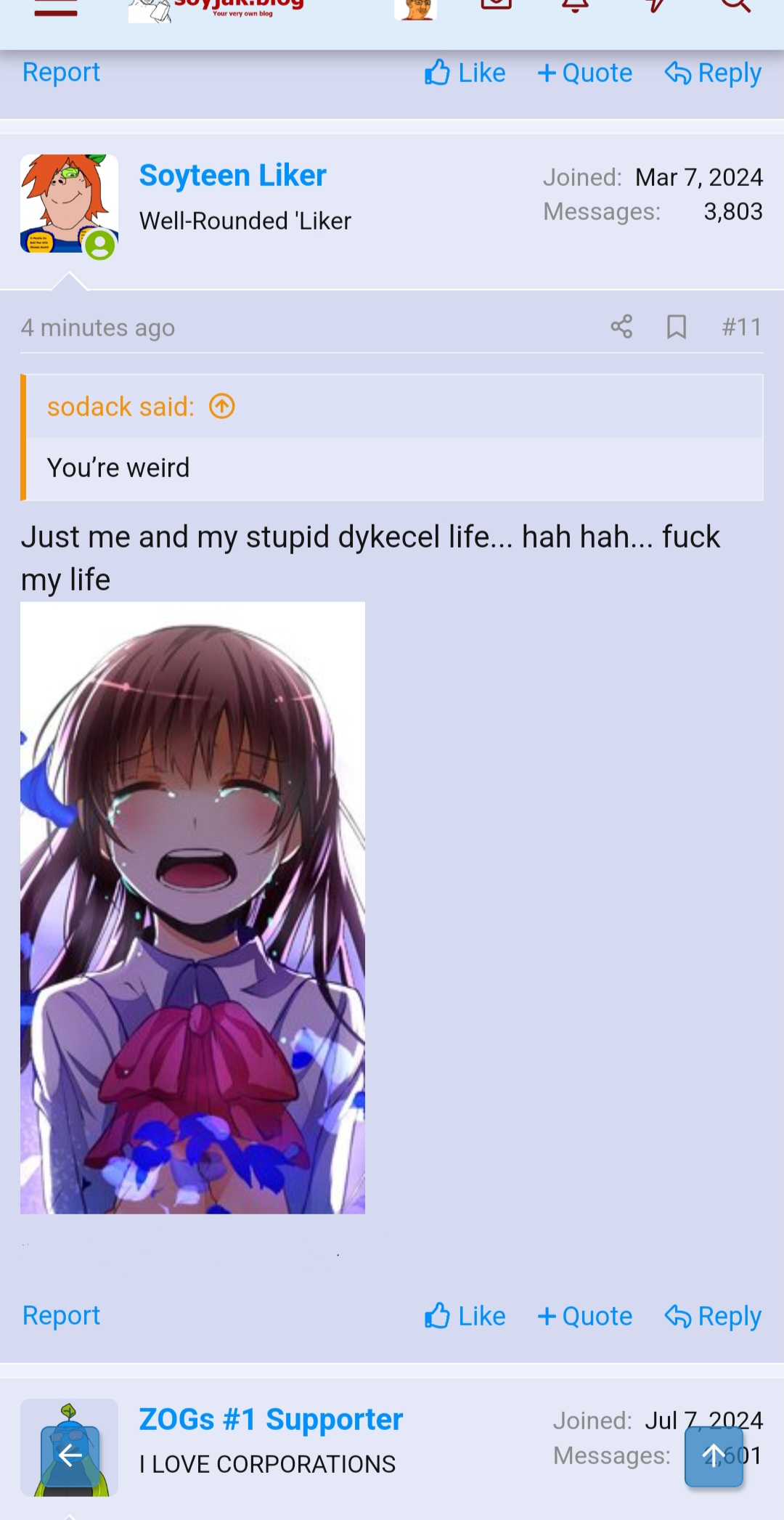 1000008847.jpg