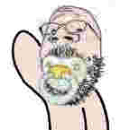 1000010716.gif