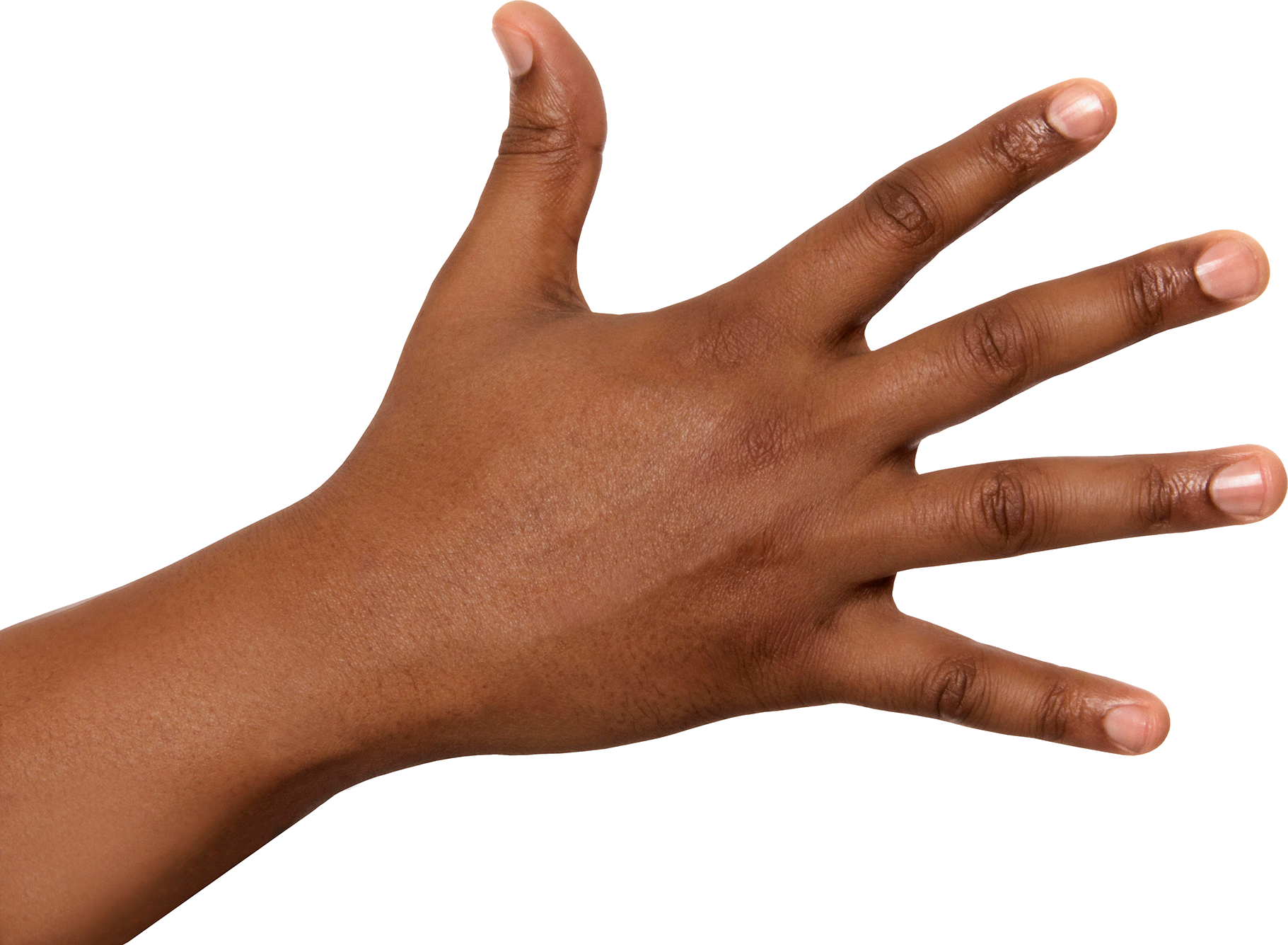 1000011413.png