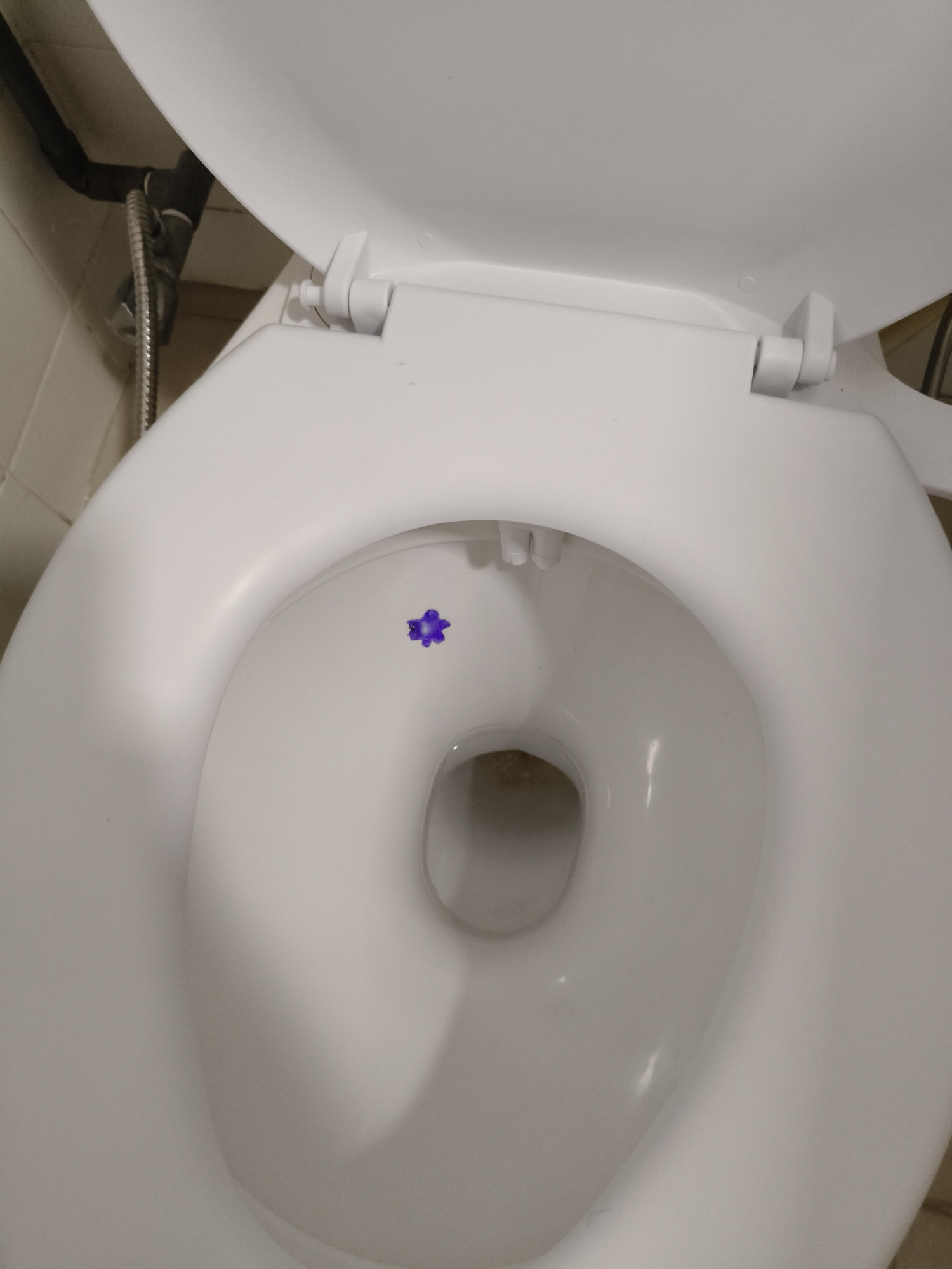 1000029479.png