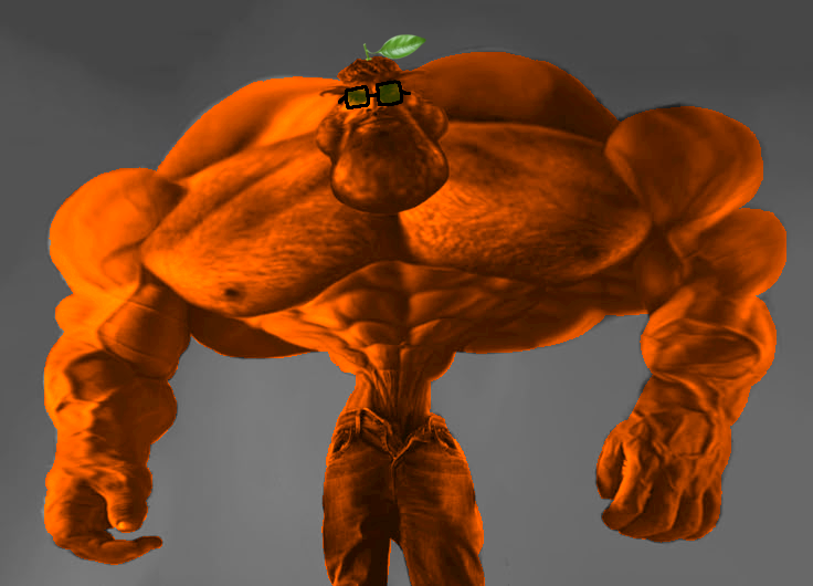 1000059568.png