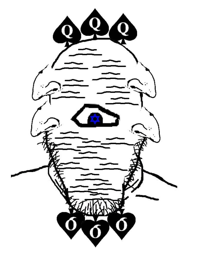 1000089560.png