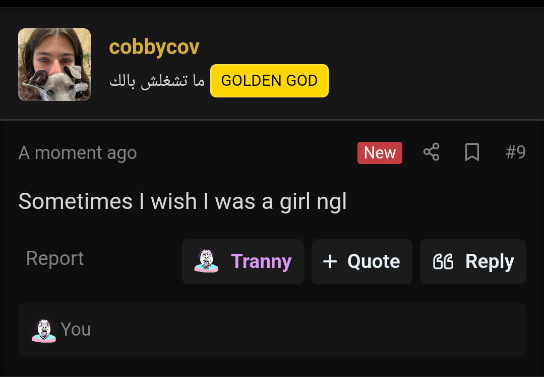 14075.png