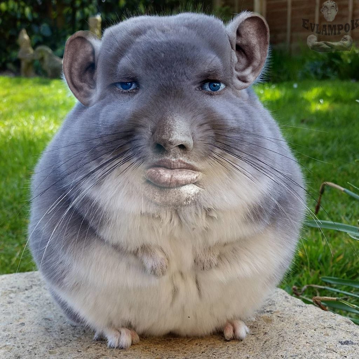 1534346635176919825.png