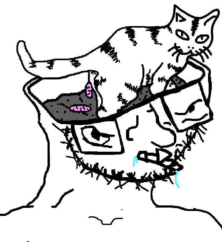 1566786225639.png