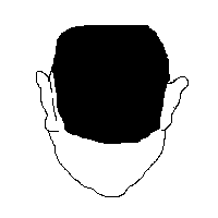 1681051049858.gif