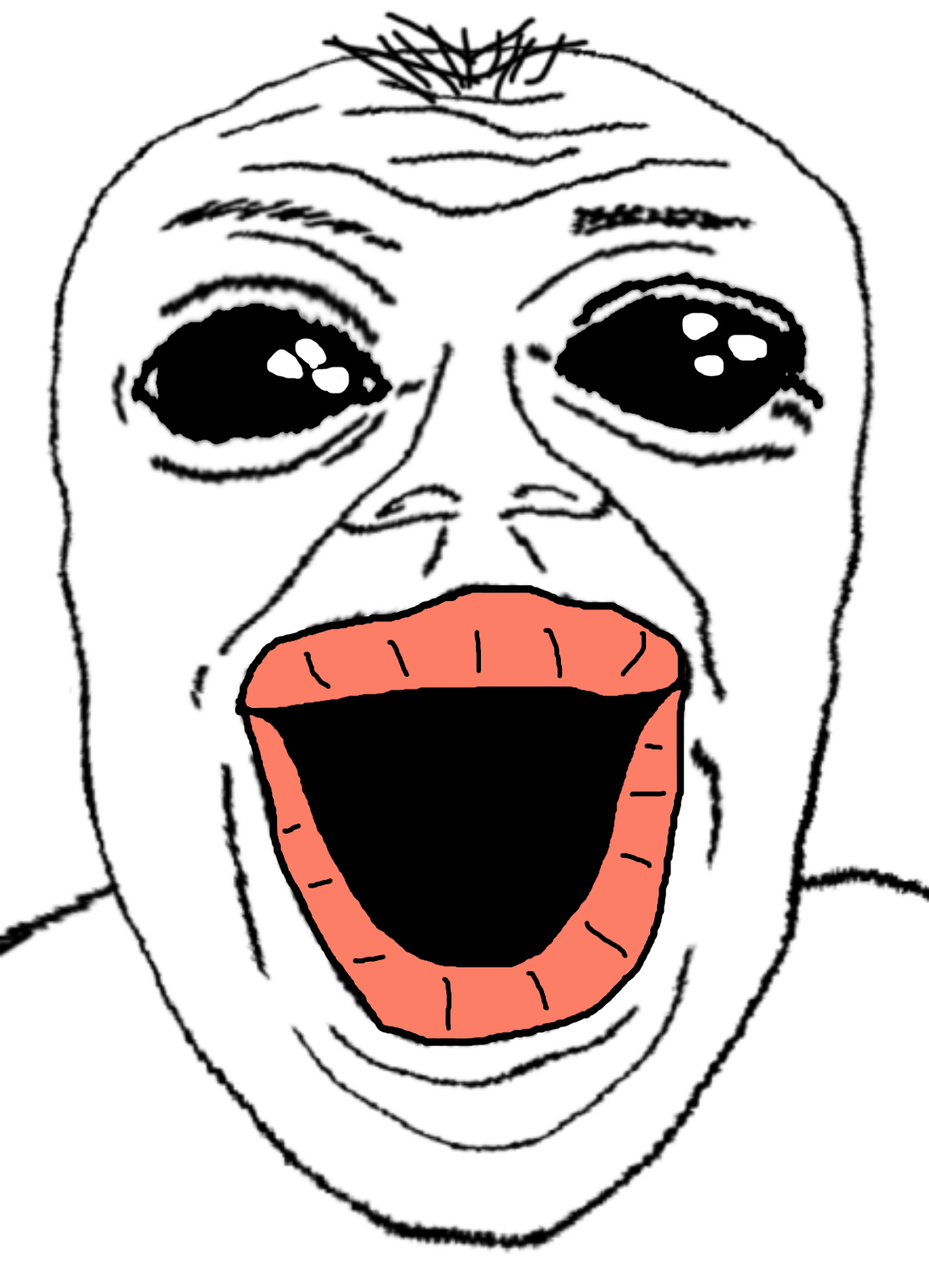 1681435541306.png