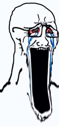 1696871783851.png