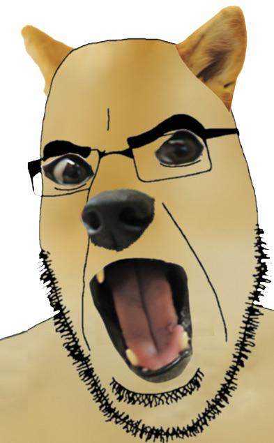 1701429761871.png