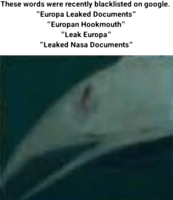 1712380752638.png