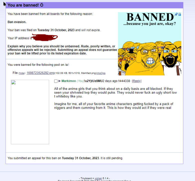 1717133013034.png