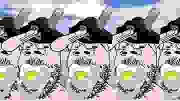 1721267518825n.jpg