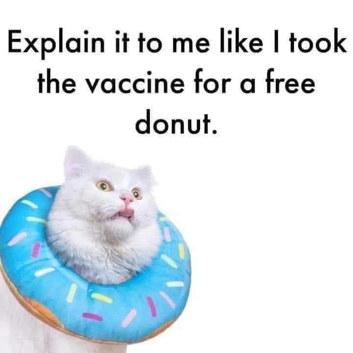 1722543437257.jpeg
