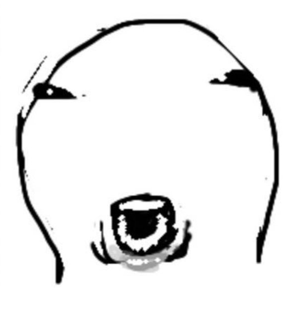1722995686769493.jpg
