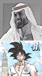 1723067427412.png