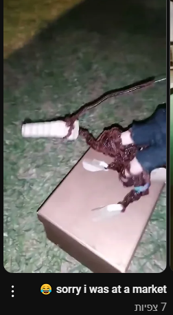 1723846186654.png