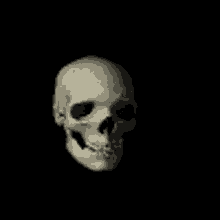1724380946258f.gif