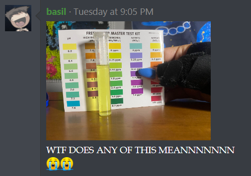 1724421541379.png