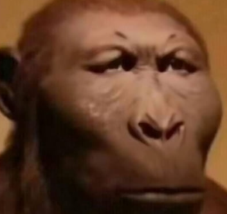 1724435759943704.png