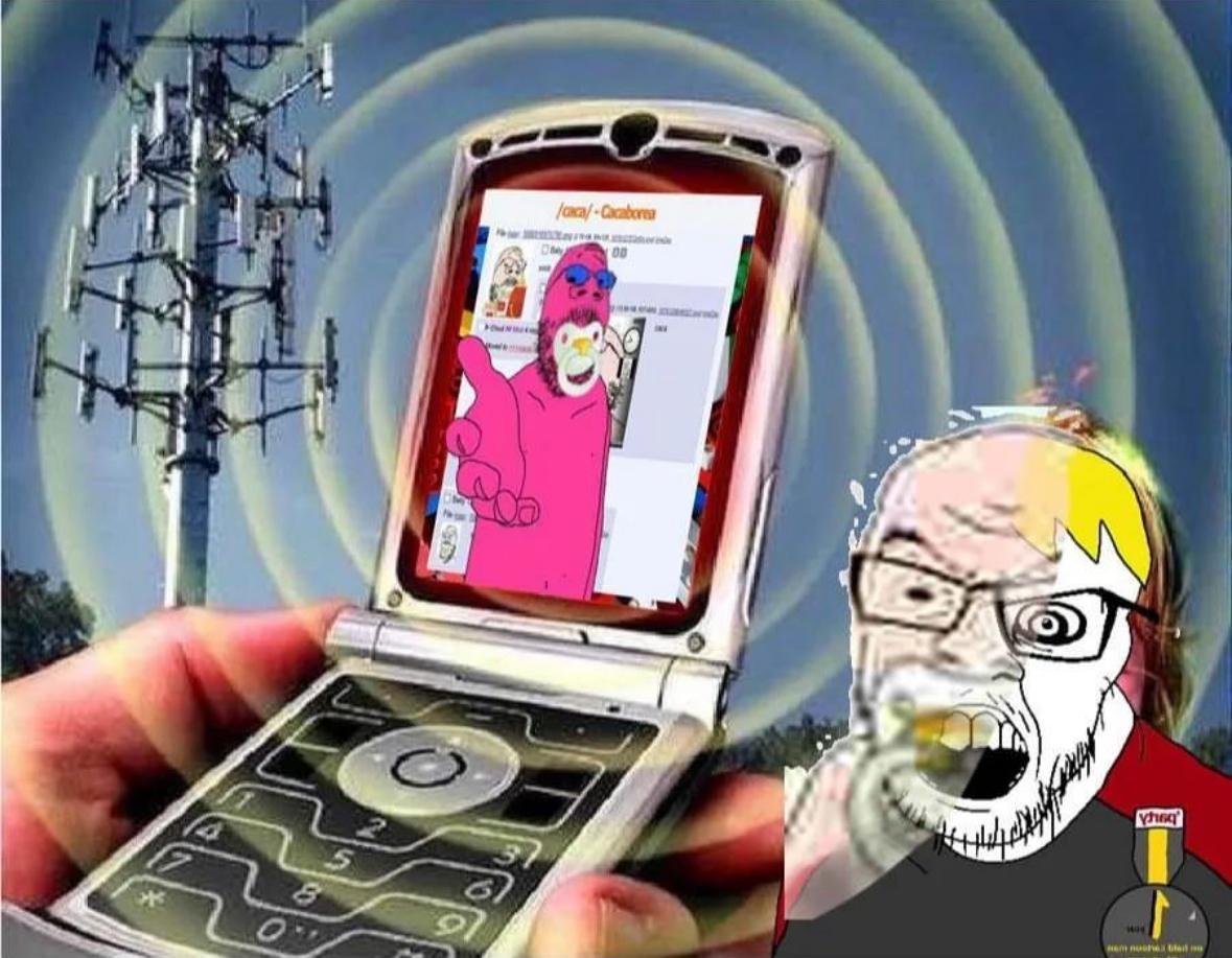 1724446636304z.jpeg