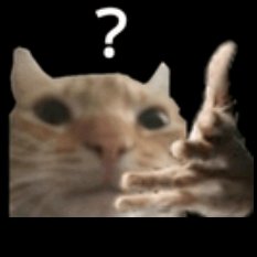 1725111920601136.jpg