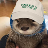 1728343120495.png