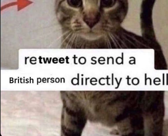 1728498030937.png