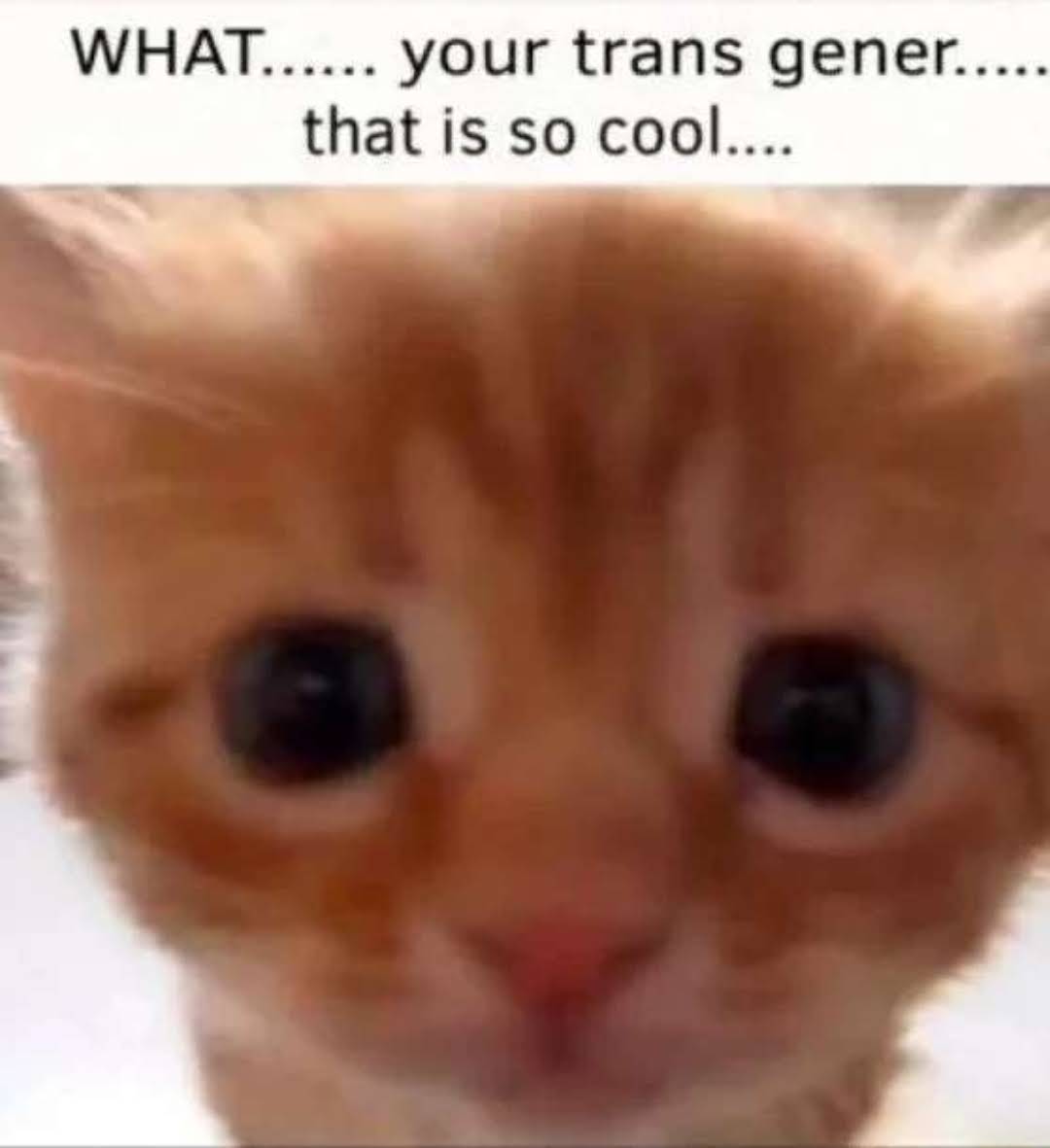 1728593616033.jpeg