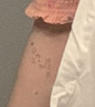1729117517007.png