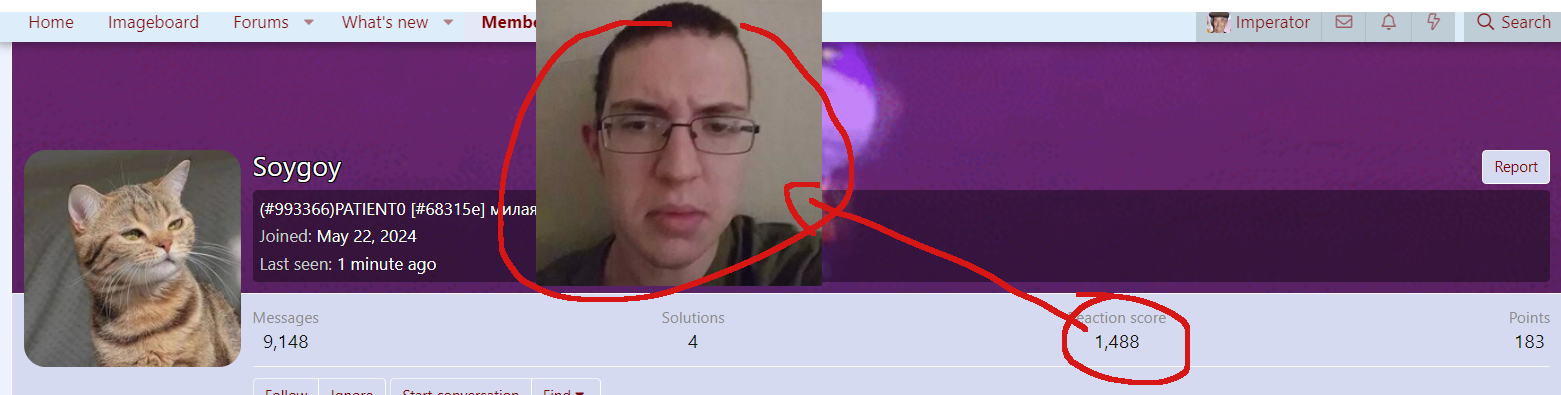 1729349602542.png
