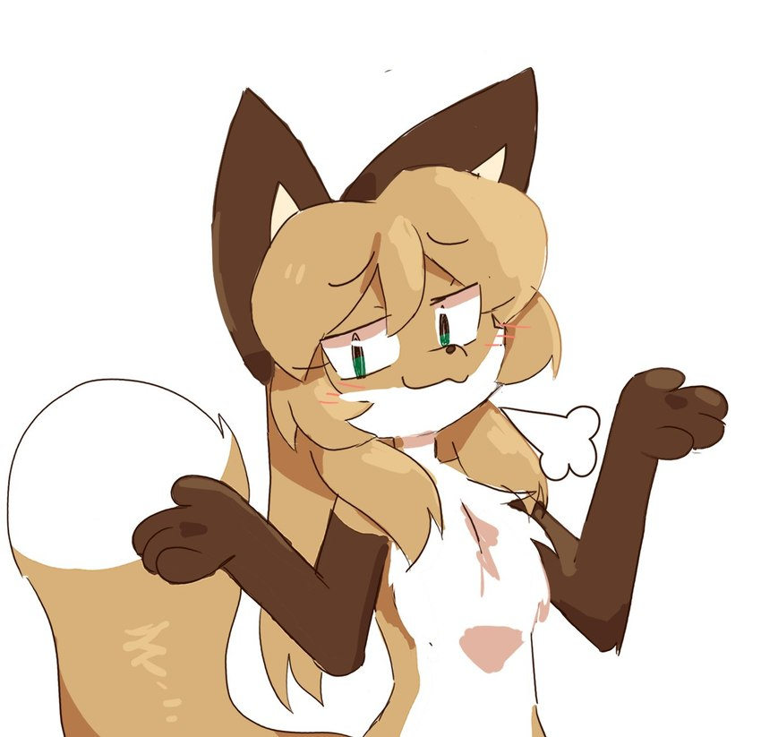 1729851065557.png