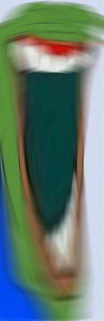 1730264625731h-0.jpg