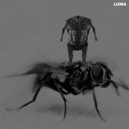 1730444270624t.gif