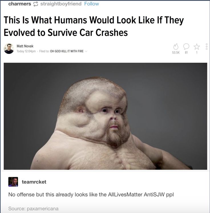 1730562516888.jpeg