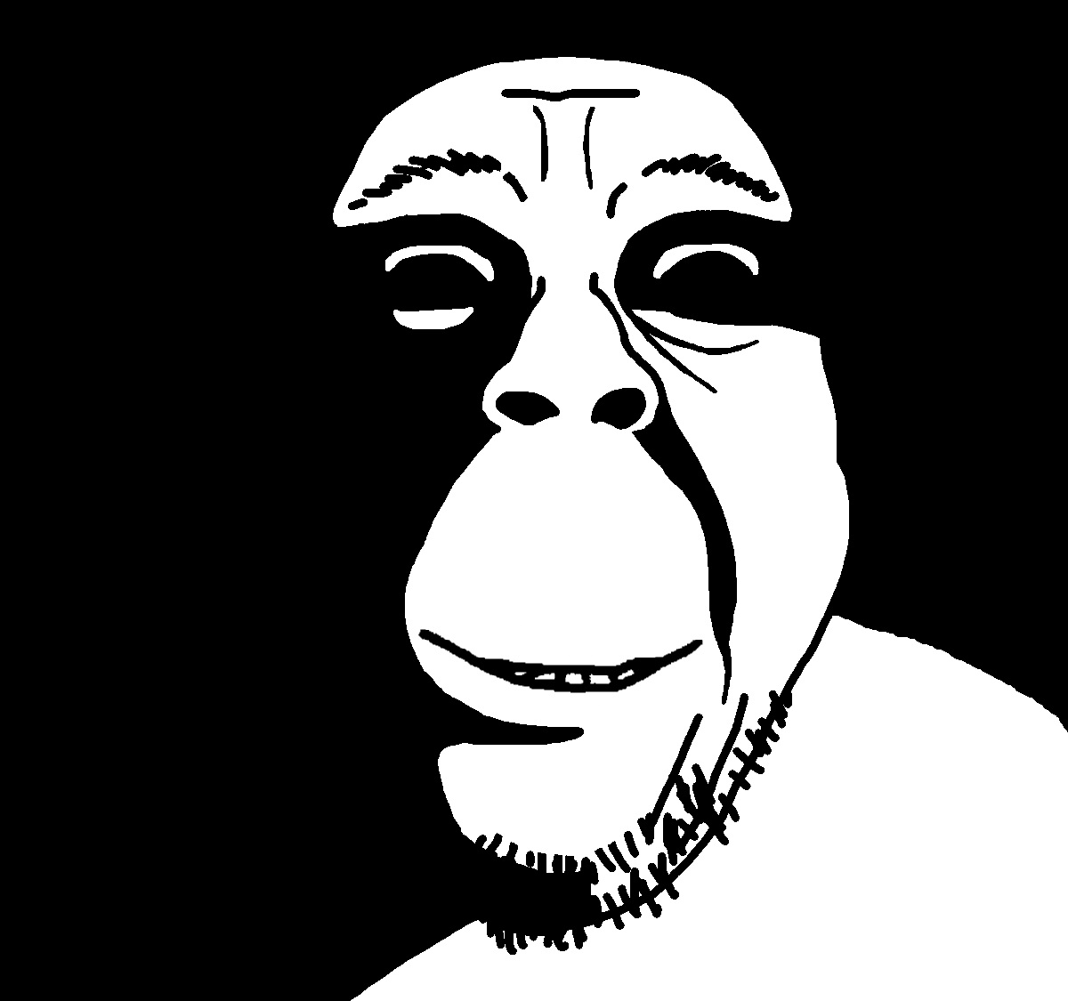 1730602539102.png
