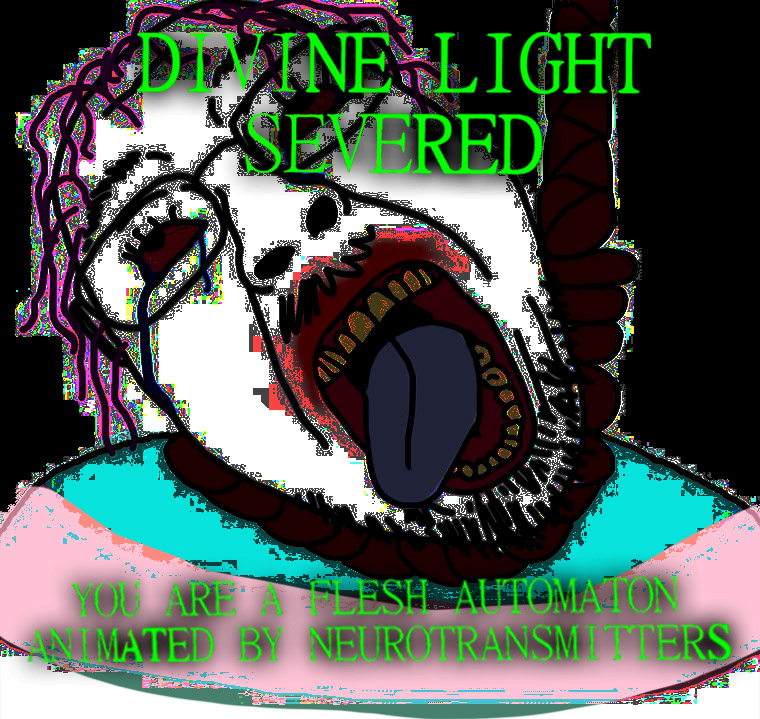 1730827688442z.png