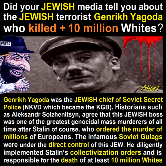 1730833346636.png