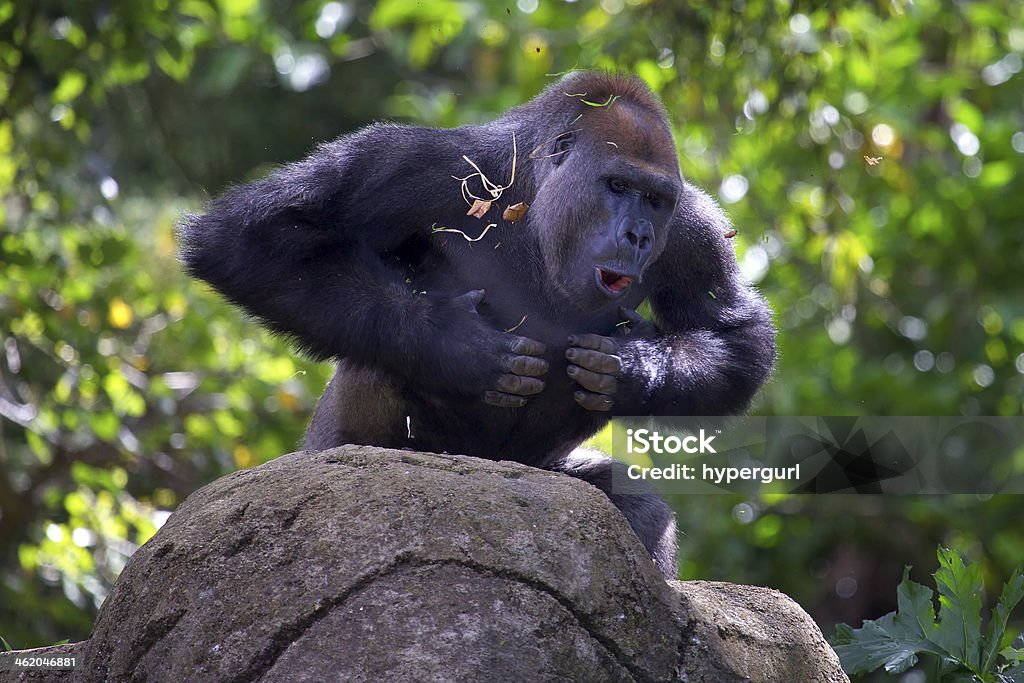 1730912588609.png
