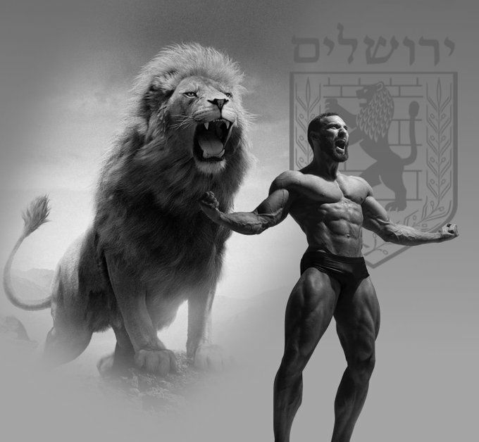 1731259117808.png