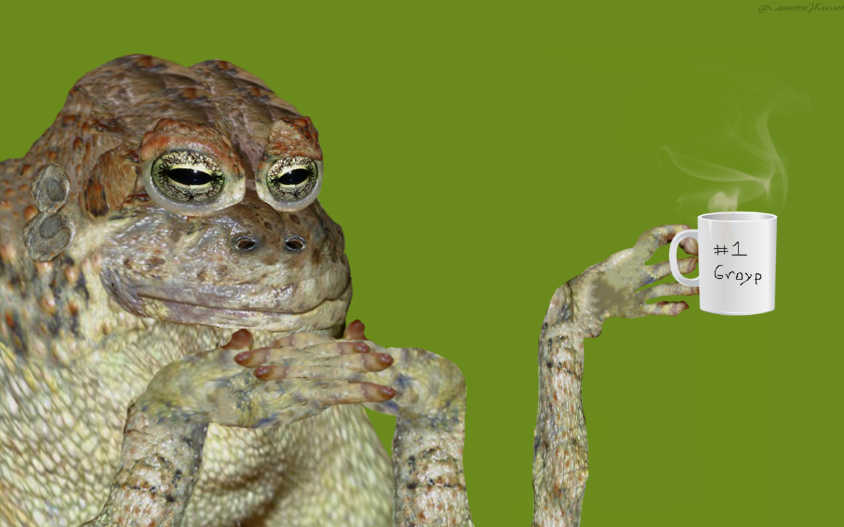 1731686345964.png