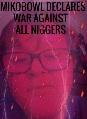 1732041334013o.gif